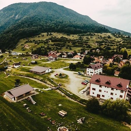 Pensiunea 3 Brazi Zărneşti Exteriér fotografie