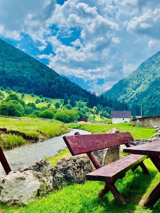 Pensiunea 3 Brazi Zărneşti Exteriér fotografie