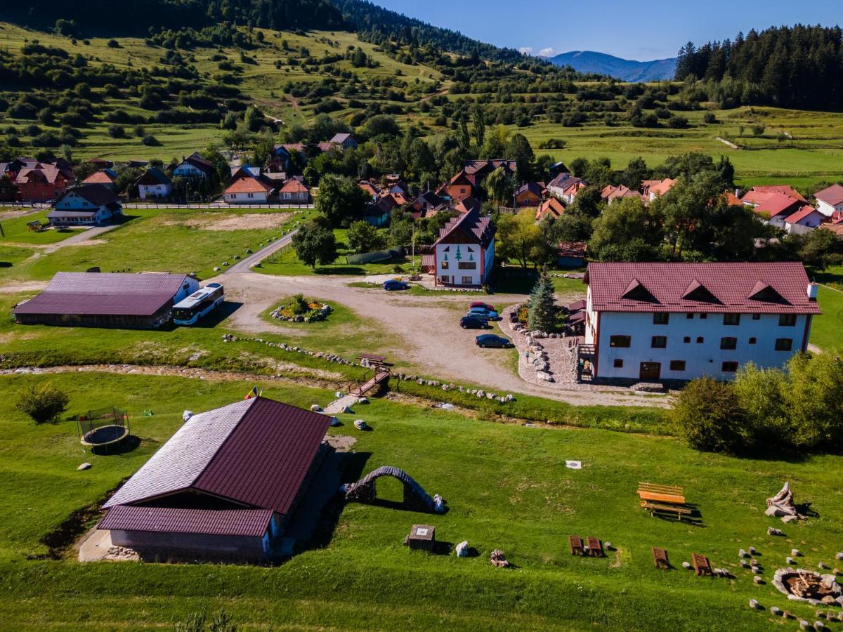 Pensiunea 3 Brazi Zărneşti Exteriér fotografie