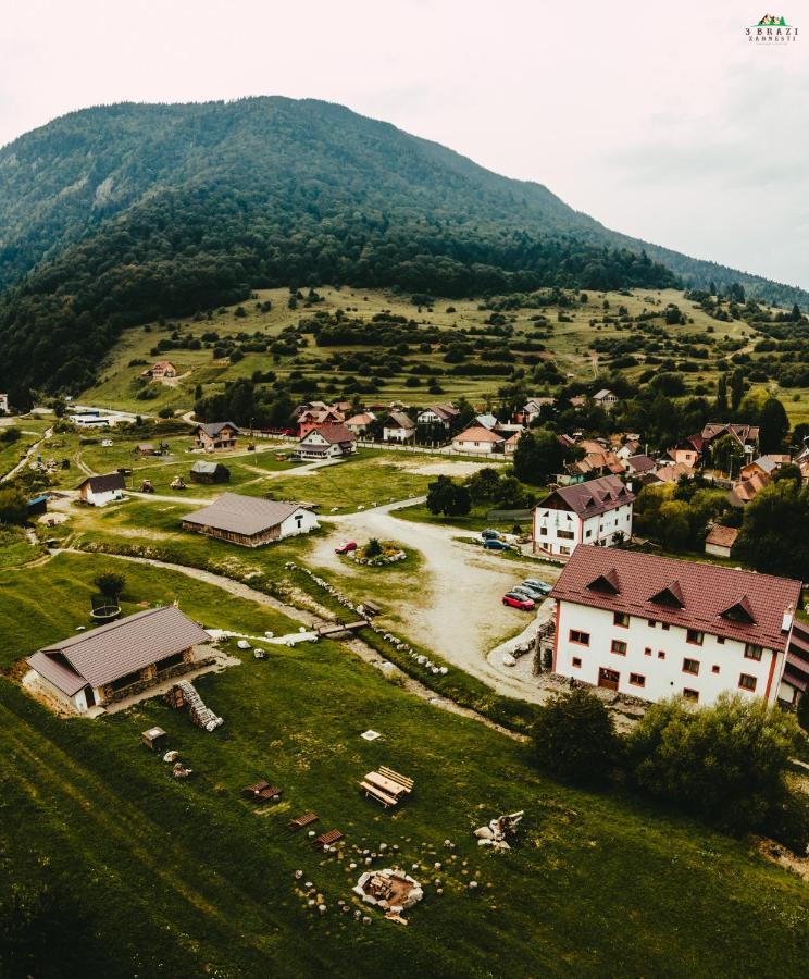 Pensiunea 3 Brazi Zărneşti Exteriér fotografie