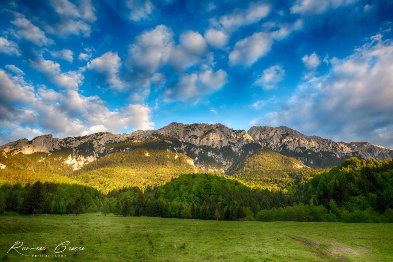 Pensiunea 3 Brazi Zărneşti Exteriér fotografie