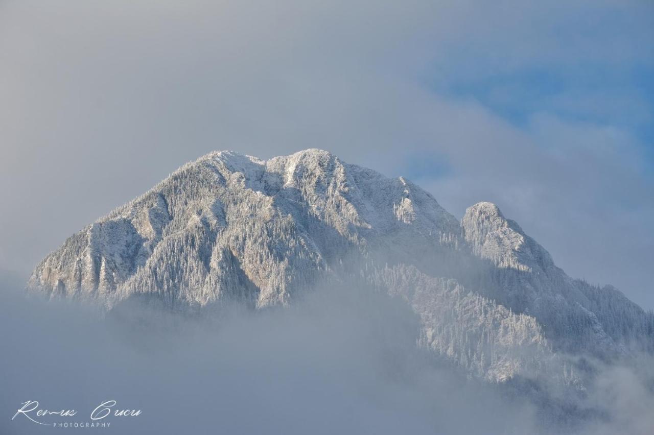Pensiunea 3 Brazi Zărneşti Exteriér fotografie