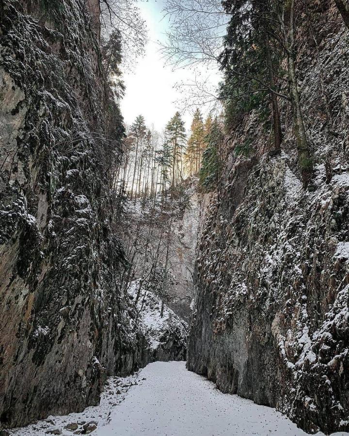 Pensiunea 3 Brazi Zărneşti Exteriér fotografie