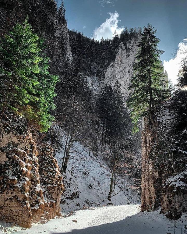 Pensiunea 3 Brazi Zărneşti Exteriér fotografie