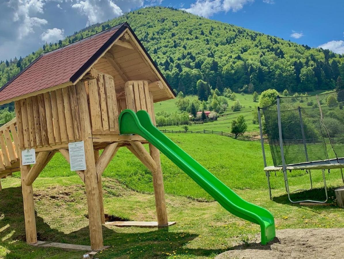 Pensiunea 3 Brazi Zărneşti Exteriér fotografie
