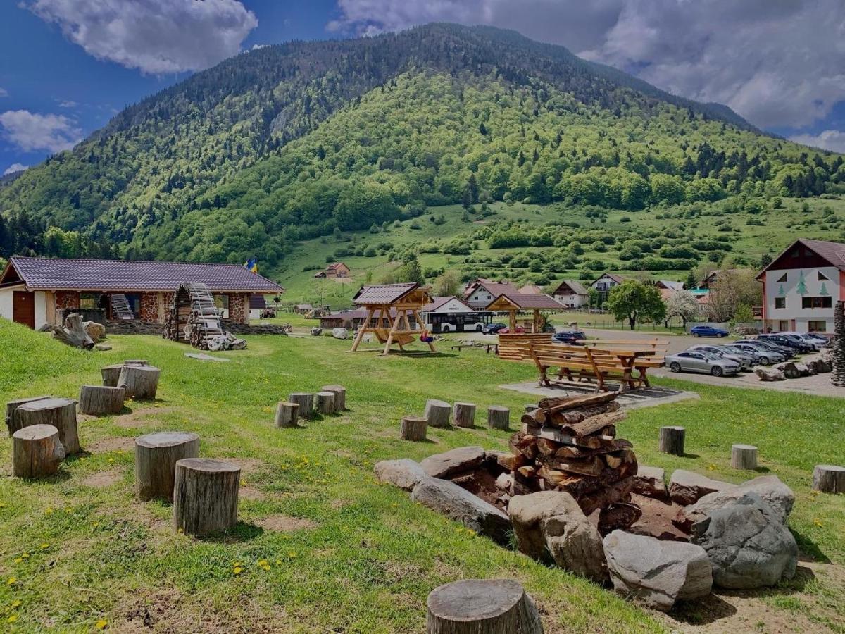 Pensiunea 3 Brazi Zărneşti Exteriér fotografie