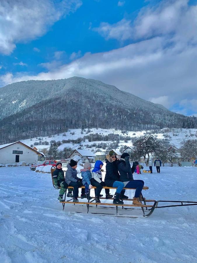 Pensiunea 3 Brazi Zărneşti Exteriér fotografie