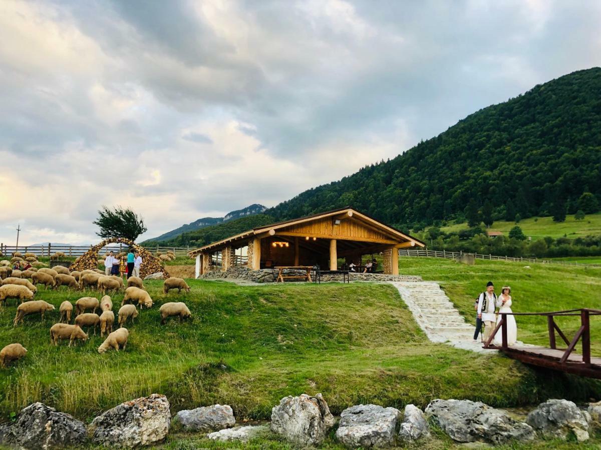 Pensiunea 3 Brazi Zărneşti Exteriér fotografie