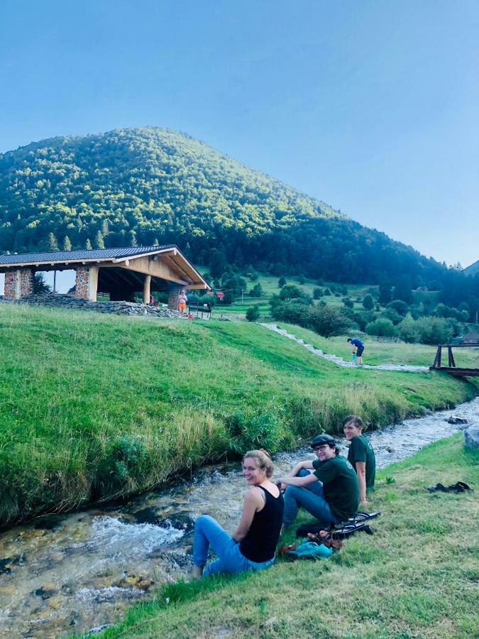 Pensiunea 3 Brazi Zărneşti Exteriér fotografie