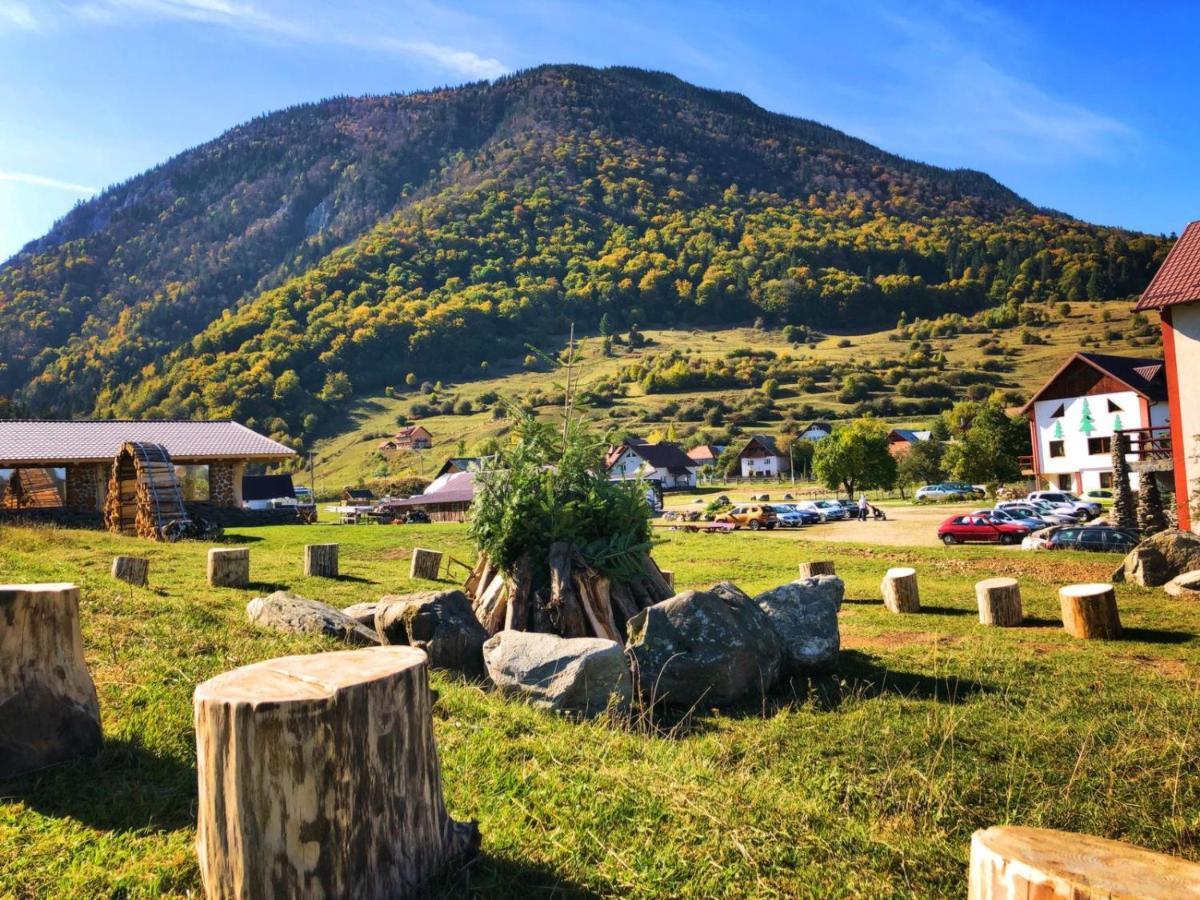 Pensiunea 3 Brazi Zărneşti Exteriér fotografie