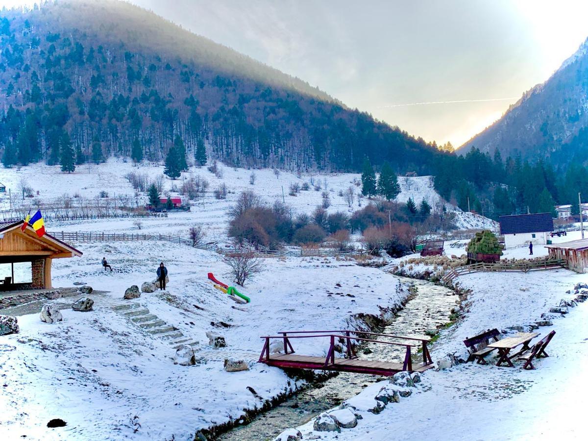 Pensiunea 3 Brazi Zărneşti Exteriér fotografie